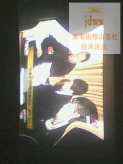 IMG0206A.jpg